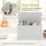 Safety Hinge Wooden Chest Organizer Toy Storage Box - Image 5