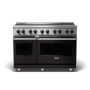 Viking - 48 in. Wide 6 Elements 5 Series Freestanding Electric Induction Range - Onyx - Image 1