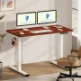 FLEXISPOT 55" x 28" Home Office Electric Height Adjustable Standing Desk Memory Programmable Presets Computer Desk White and Mahogany - Image 1