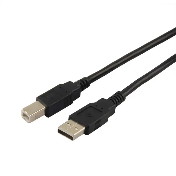 bd3bac3e-93b1-45d2-bfe9-ad7faa79b5b3.webp