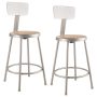 NPS 18 in. Heavy-Duty Steel Stool with Backrest (2-Pack), Brown/Gray, Counter Height - Image 1