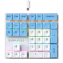 APAYADO K33 Mini Numeric Keyboard 33Keys,Blue Mechanical Shaft,RGB,PBT Keycaps for Treasury / Accounting / Finance, Red Switch, K33 glimmer - Image 6