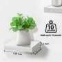 Floating Shelves, 9.25 in. x 9.25 in. White Decorative Wall Shelves - Image 3