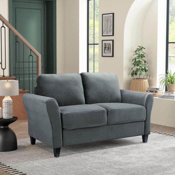 dark-grey-lifestyle-solutions-loveseats-ccwenks2m26dgra-64_1000.jpg