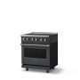 Viking - 30 in. Wide 4 Elements Pro 5 Series 4.7 Cu. Ft. Freestanding Induction Convection Range - w. Brushed Brass - Cast Black - Image 2