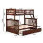 Columbia Bunk Bed Twin over Full with Twin Size Urban Trundle Bed in Walnut - Image 6