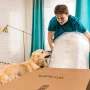 NapQueen Anula 8" Queen Mattress, Green Tea Infused Memory Foam Mattress, Bed In a Box, Adult - Image 5
