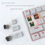 Ractous RTK63P 60% Mechanical Gaming Keyboard Hot Swappable Type-C RGB Backlit PBT keycaps 63Key Mini Compact Keyboard with Full Key Programmable-White(Optical Red Switch) - Image 5