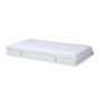 Baxton Studio Mara Gray Twin Daybed w/ Trundle - Image 1