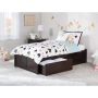 AFI Concord Espresso Twin Platform Bed with Flat Panel Foot Board and 2-Urban Bed Drawers - Image 1