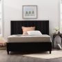 Brookside Adele Black Upholstered Queen Platform Bed Frame with a Vertical Channel Tufted Wingback Headboard - Image 1