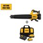 DEWALT 20-Volt MAX XR Starter Kit (1) 6.0Ah Battery & (1) 4.0Ah Battery w/ FREE 20-Volt Handheld Blower 125 MPH 450 CFM - Image 1