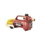 Liberty Pumps 1/2 HP Non-Submersible Portable Transfer Pump - Image 1