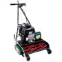 California Trimmer Classic Standard 20 in. 7-Blade Briggs & Stratton Gas Walk Behind Self-Propelled Reel Lawn Mower - Image 1