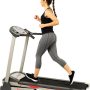 Sunny Health & Fitness SF-T7603 Motorized Folding Treadmill - Image 1