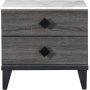 Adore Decor Micah Rectangular Mid-Century Modern Veneer 2-Drawer Night Stand - Gray - Image 1