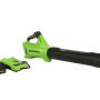 Greenworks - 24-Volt 110 MPH 450 CFM Cordless Blower (4.0Ah Battery & Charger Included) - Black/Green - Image 1