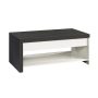 Sauder - Hudson Court Lift Top Coffee Table - Image 1