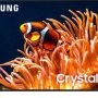 Samsung - 50" Class DU8000 Crystal UHD Smart TV - Image 1