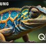 Samsung - 43" Class Q60D Series QLED 4K Smart Tizen TV - Image 1