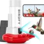 BIRDFY - Smart Hummingbird Feeder, w/Dual HD Cameras, Solar Power, and AI Enabled Bird Recognition - Red and White - Image 1