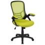 Alamont Home - Porter Contemporary Mesh Executive Swivel Office Chair - Green - Image 1