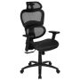 Alamont Home - Lo Contemporary Mesh Executive Swivel Office Chair - Black - Image 1